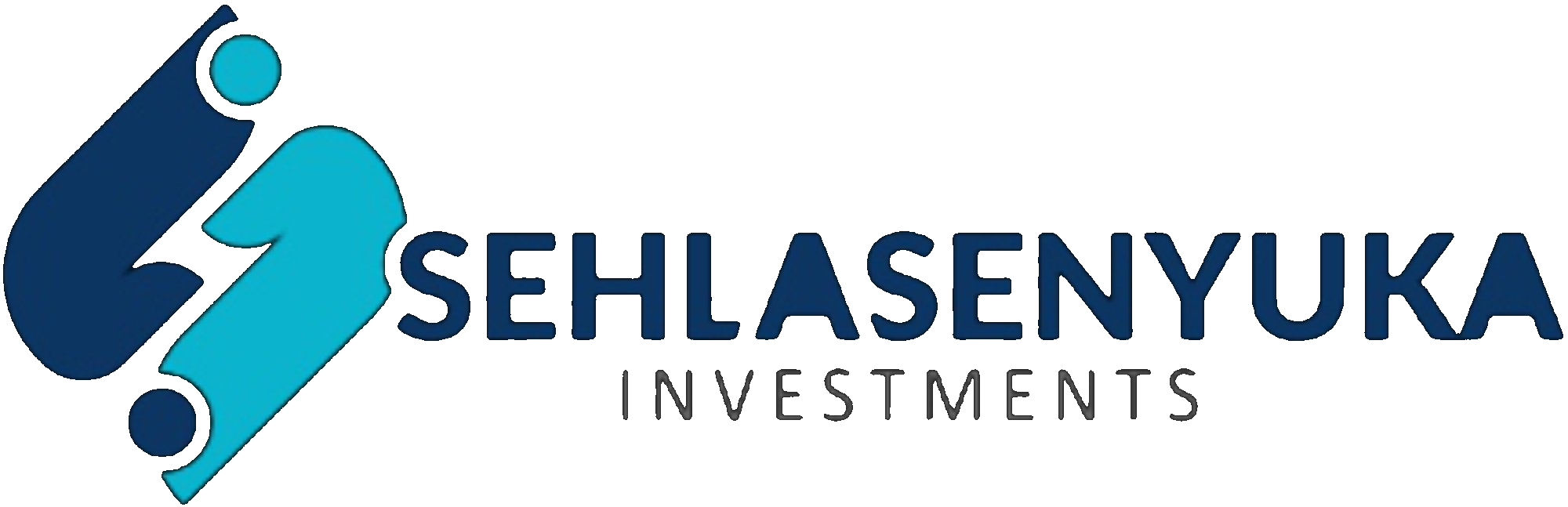 Sehlasenyuka Investments